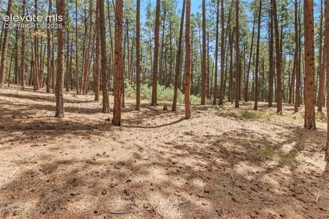 140 E Stirrup Trl, Monument, CO 80132 photo 11