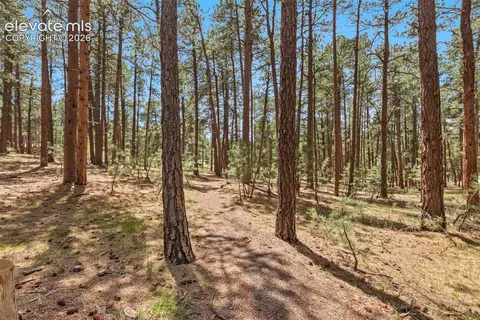 140 E Stirrup Trl, Monument, CO 80132 photo 18