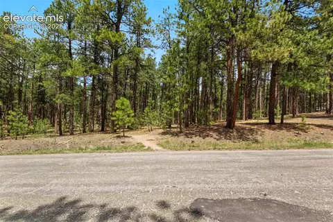 140 E Stirrup Trl, Monument, CO 80132 photo 6