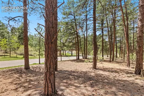 140 E Stirrup Trl, Monument, CO 80132 photo 20