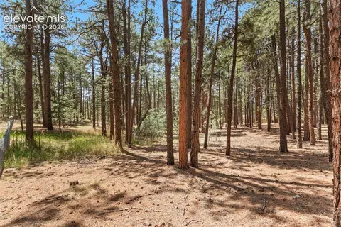 140 E Stirrup Trl, Monument, CO 80132 photo 15