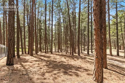 140 E Stirrup Trl, Monument, CO 80132 photo 14