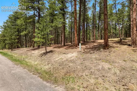 140 E Stirrup Trl, Monument, CO 80132 photo 5