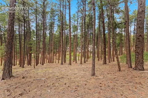 140 E Stirrup Trl, Monument, CO 80132 photo 10