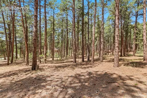 140 E Stirrup Trl, Monument, CO 80132 photo 19