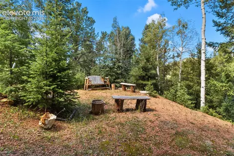 Exterior - 117 Fluorite Ln, Divide, CO 80814 photo 4 of 6