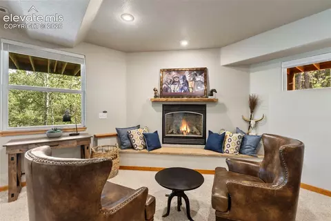Living - 117 Fluorite Ln, Divide, CO 80814 photo 7 of 8