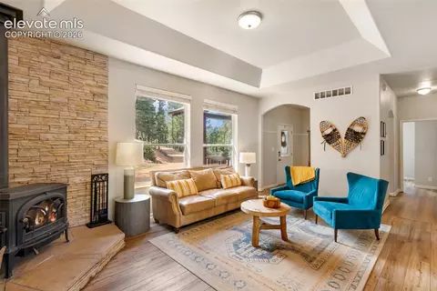 Living - 117 Fluorite Ln, Divide, CO 80814 photo 5 of 8