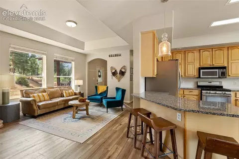 Living - 117 Fluorite Ln, Divide, CO 80814 photo 3 of 8