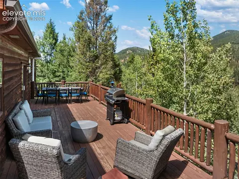Exterior - 117 Fluorite Ln, Divide, CO 80814 photo 3 of 6