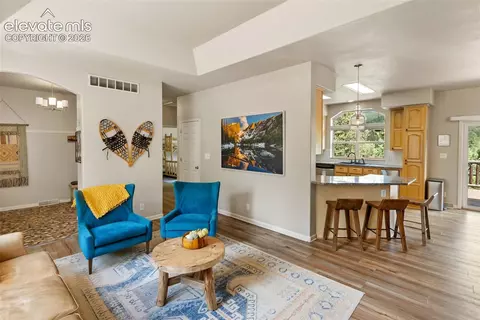 Living - 117 Fluorite Ln, Divide, CO 80814 photo 2 of 8