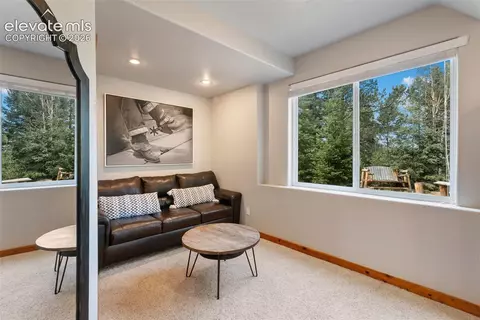 Bedroom - 117 Fluorite Ln, Divide, CO 80814 photo 10 of 11