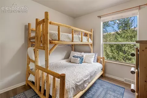 Bedroom - 117 Fluorite Ln, Divide, CO 80814 photo 4 of 11