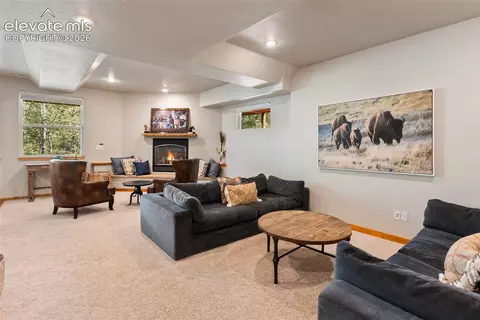 Living - 117 Fluorite Ln, Divide, CO 80814 photo 8 of 8