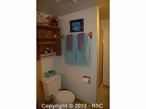 9875 Mountain Rd, Cascade, CO 80809 photo 5