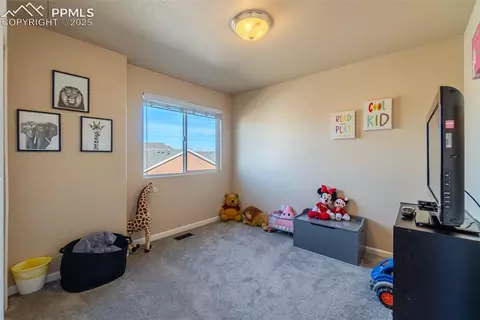 Other - 7514 Teocalli Pt, Peyton, CO 80831 photo 15 of 23