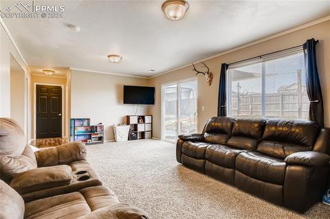 12978 Devils Thumb Pl, Peyton, CO 80831 photo 22