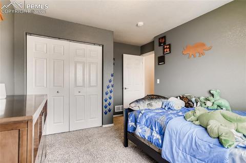 12978 Devils Thumb Pl, Peyton, CO 80831 photo 16