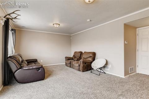 12978 Devils Thumb Pl, Peyton, CO 80831 photo 20