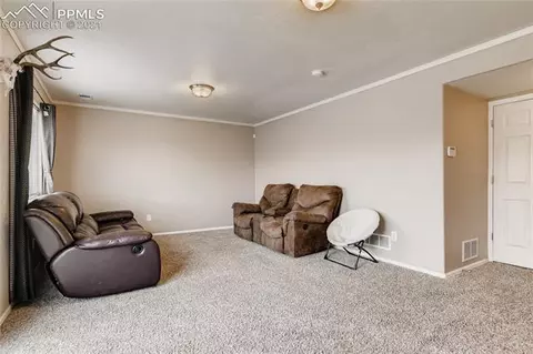 12978 Devils Thumb Pl, Peyton, CO 80831 photo 20
