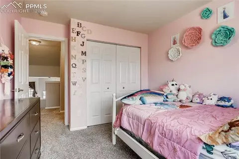 12978 Devils Thumb Pl, Peyton, CO 80831 photo 18