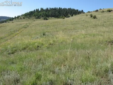 lot1 2 Shideler Ave, Cripple Creek, CO 80813