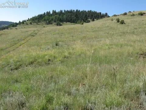 lot1 2 Shideler Ave, Cripple Creek, CO 80813