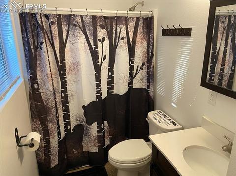 5508 Skycrest Ct, Divide, CO 80814 photo 8