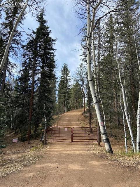 5508 Skycrest Ct, Divide, CO 80814 photo 1