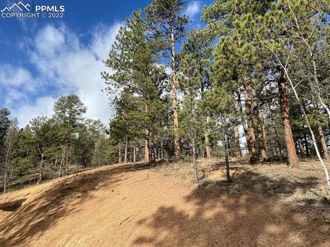 5508 Skycrest Ct, Divide, CO 80814 photo 19