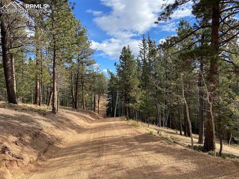 5508 Skycrest Ct, Divide, CO 80814 photo 2