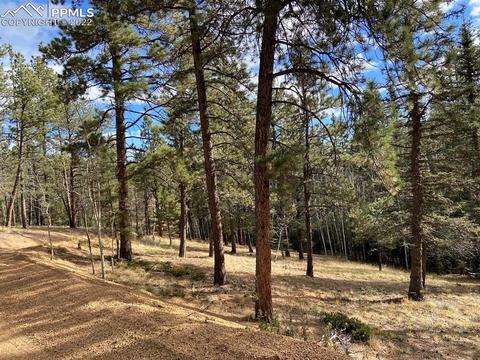 5508 Skycrest Ct, Divide, CO 80814 photo 22