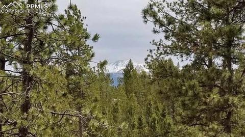 5508 Skycrest Ct, Divide, CO 80814 photo 20