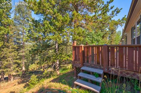 927 Calcite Dr, Divide, CO 80814 photo 3