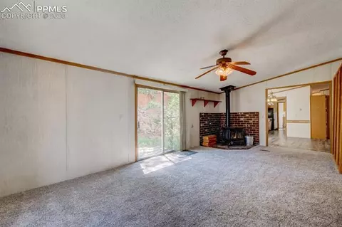 927 Calcite Dr, Divide, CO 80814 photo 7