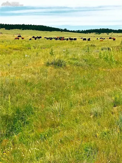 16625 Warriors Path Dr, Peyton, CO 80831 photo 1