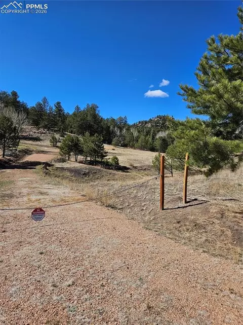 717 Canyon Dr, Florissant, CO 80816
