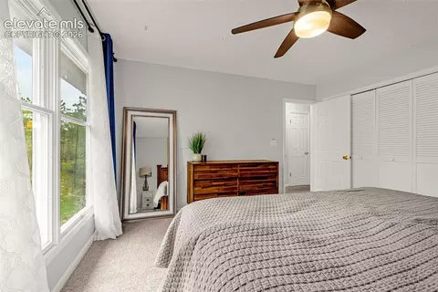 Bedroom - 313 Raspberry Ln, Monument, CO 80132 photo 4 of 7