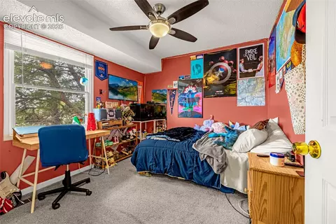 Bedroom - 313 Raspberry Ln, Monument, CO 80132 photo 5 of 7
