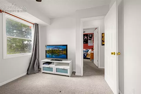 Bedroom - 313 Raspberry Ln, Monument, CO 80132 photo 6 of 7