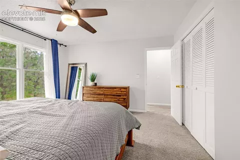 Bedroom - 313 Raspberry Ln, Monument, CO 80132 photo 2 of 7