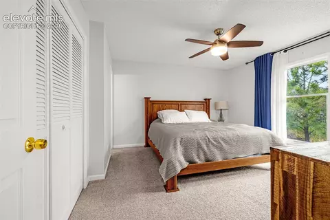 Bedroom - 313 Raspberry Ln, Monument, CO 80132 photo 1 of 7