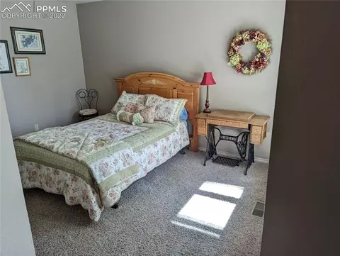 105 Stephanie Pl, Divide, CO 80814 photo 29