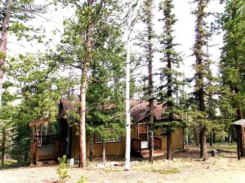 4071 Omer Ln, Divide, CO 80814 photo 2