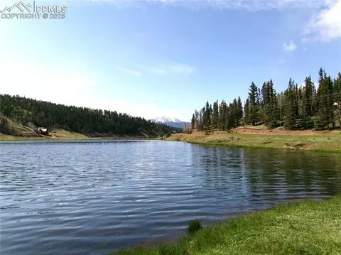 4071 Omer Ln, Divide, CO 80814 photo 16