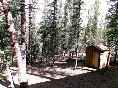4071 Omer Ln, Divide, CO 80814 photo 11