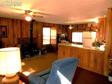 4071 Omer Ln, Divide, CO 80814 photo 3