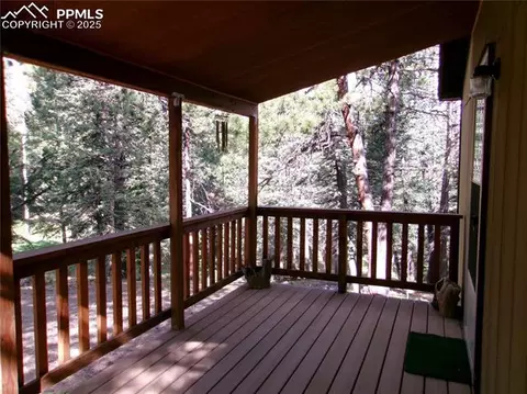 4071 Omer Ln, Divide, CO 80814 photo 10