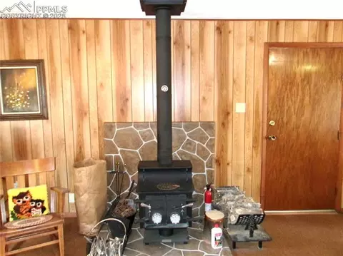 4071 Omer Ln, Divide, CO 80814 photo 5
