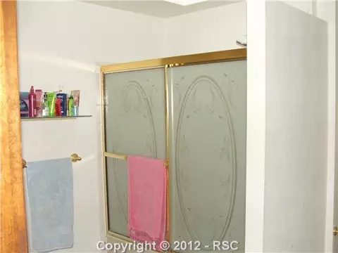 315 Lariat Loop, Monument, CO 80132 photo 11